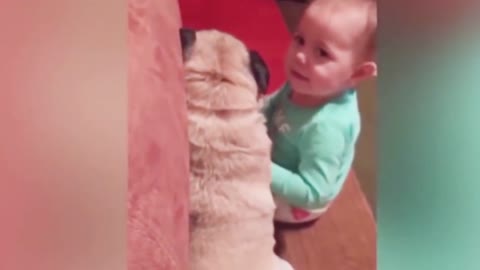 Dogs are the best friend of Babies 42