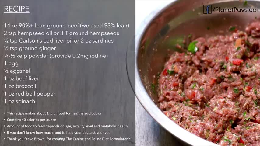 Delicious Dog Food Recipe that will make your dog munch