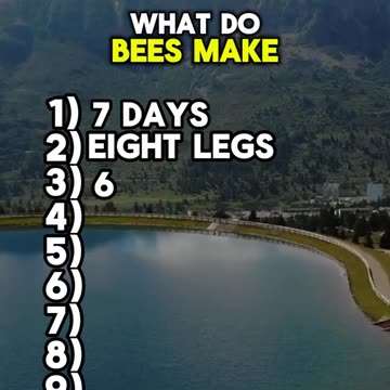 How many questions did you get right?