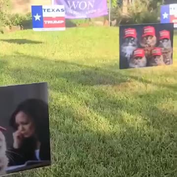 Even the Democrat dead voters are revolting this election! 🤣