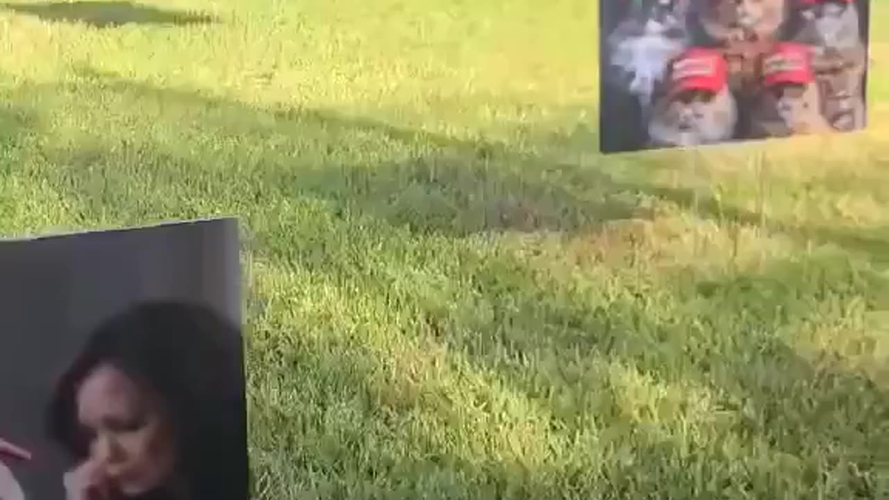Even the Democrat dead voters are revolting this election! 🤣