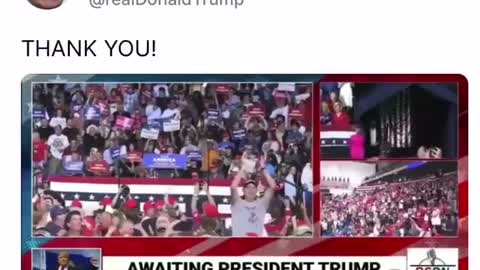 We Love Trump!