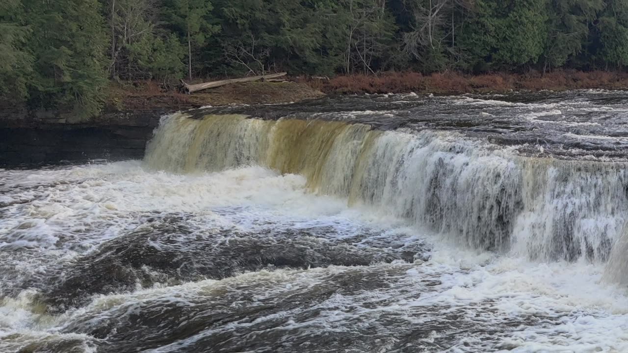 The Lower Tahquamenon Falls (November 6th 2024)