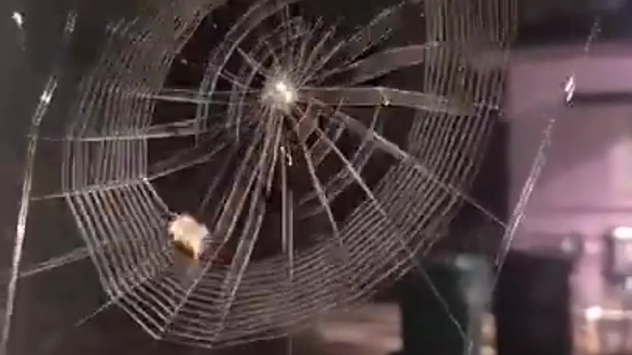 How a spider builds