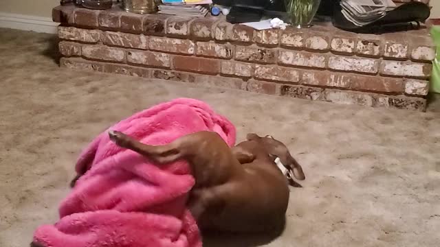 Jackson loves his pink blanket