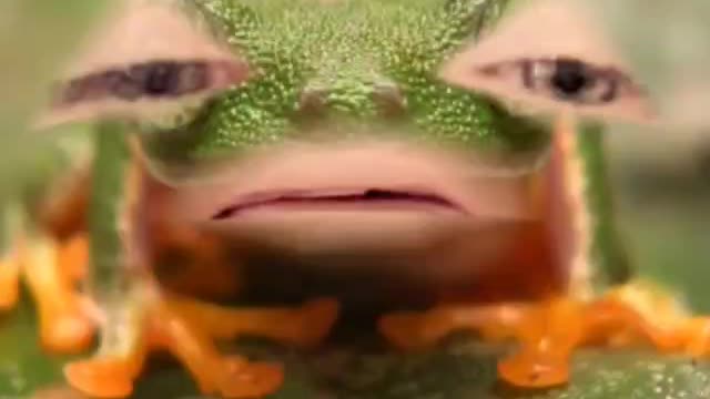 420frog says: We need a flag to unite all of America