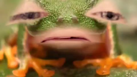 420frog says: We need a flag to unite all of America