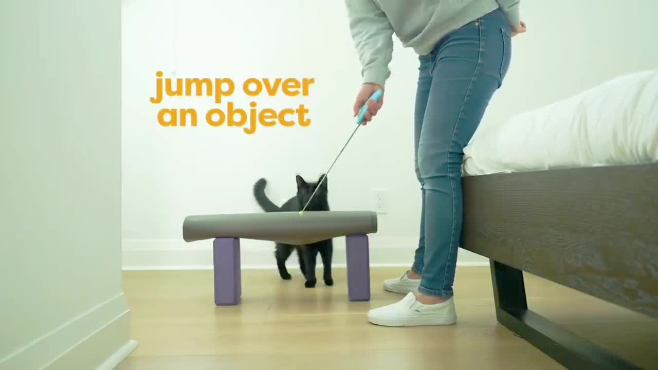 How do you train a cat to be nice? best training cat video