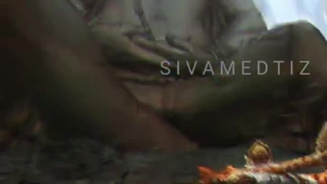Shivan status