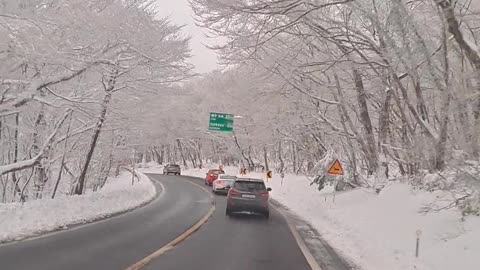 Drive at Hallasan in Jeju Island, Korea on a snowy day