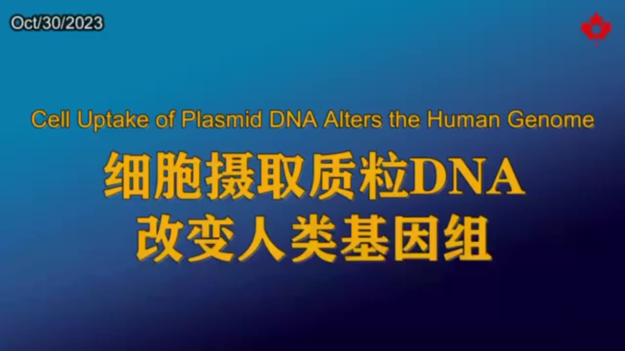 Cell Uptake of Plasmid DNA Alters the Human Genome 细胞摄取质粒DNA改变人类基因组