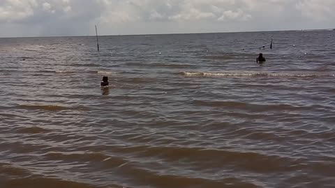 Lil Shark Park at Cedar Key, Florida