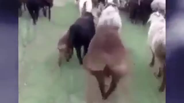 wow