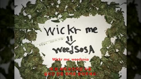 ▼로컬 떨 구매방법 : wickr- weedsosa :매 회 세탁 보안지갑 사용 ▼ 떨 수입▼떨 구매▼떨 판매 wickr- weedsosa