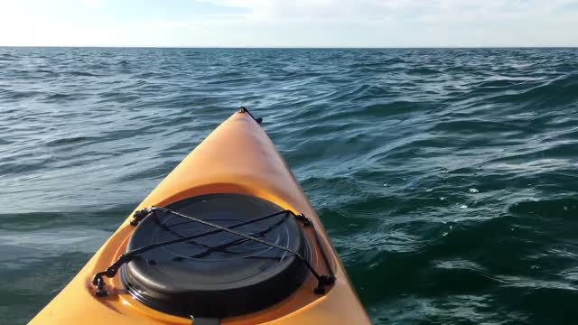 Seagrass Combing