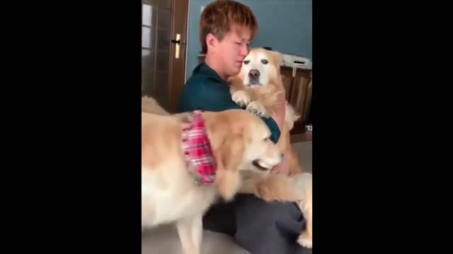 Funny Animals! Funny Dogs! Funny Videos! # Short