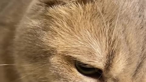 playing with my pussy