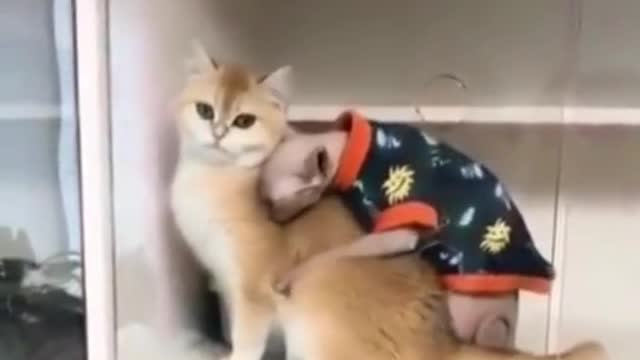 Quando vc vê sua gata linda