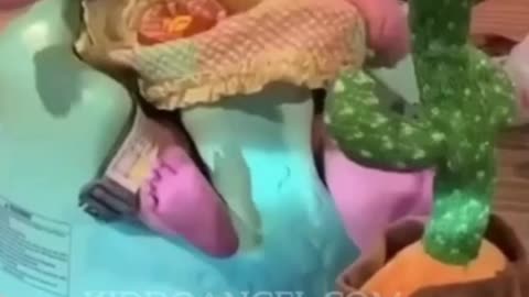 Baby Safety & Products & Toys