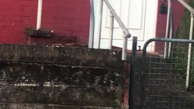 OPEN THE DOOR!