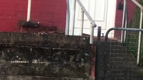 OPEN THE DOOR!
