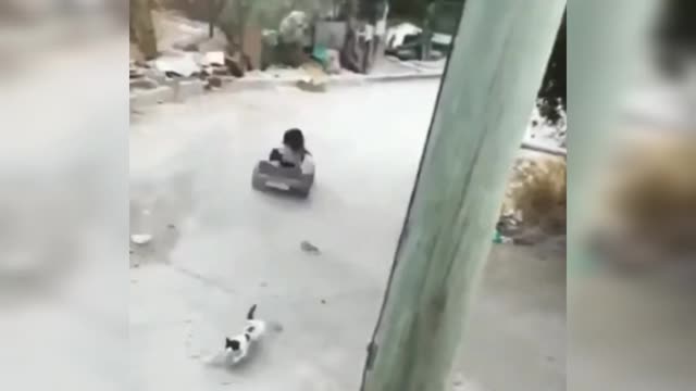 Niña al volante atropella un gato