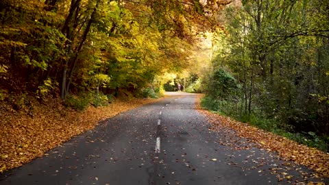 Road Nature slow mo🥱🥱