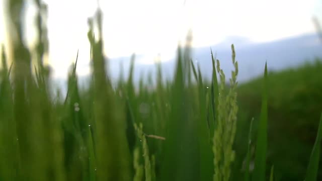 Beautiful nature like it 1