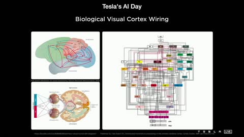 Investigating surreal artificial intelligence