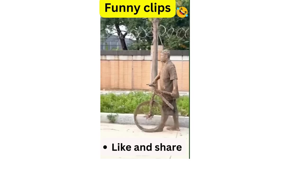 FUNNY VIDEO