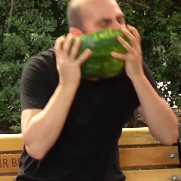 funny|prank|jokes|funny jokes|dad jokes|funny memes|funny video|fun|laughing|funny animal|knock