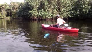OLD - Kayaking Manatee Park with Friends
