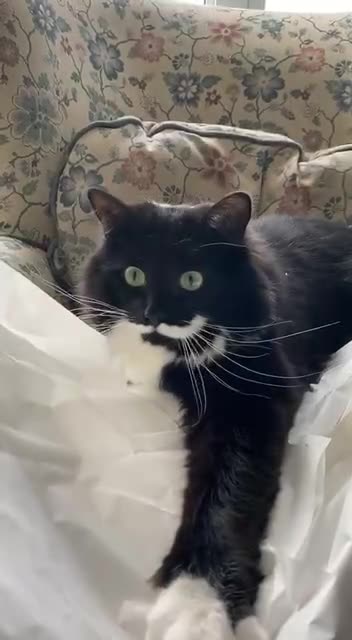 When boss drops everyone’s work on your desk