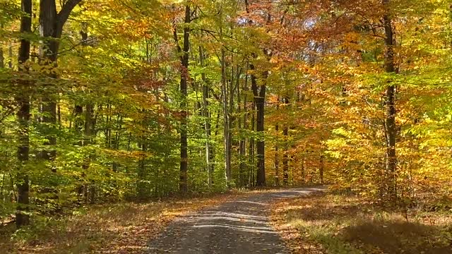 Meditation of the nature