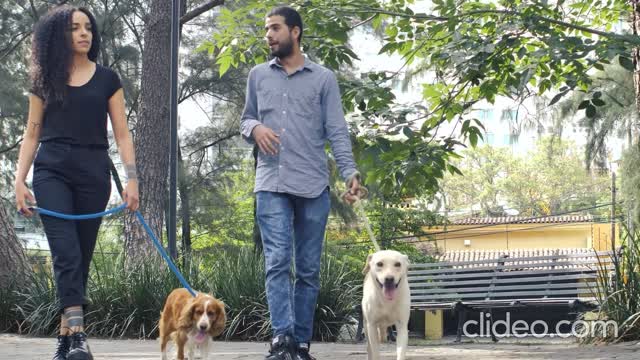 COUPLE WALKING WITH THEIR DOGS THROUGH A PARK