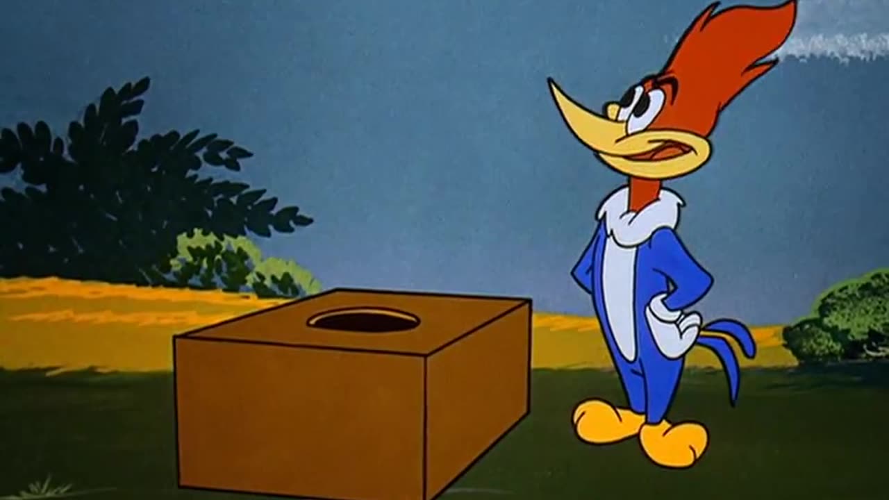 WOODY WOODPECKER - 085 - Watch the Birdie