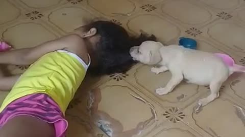 Meu filhote dog