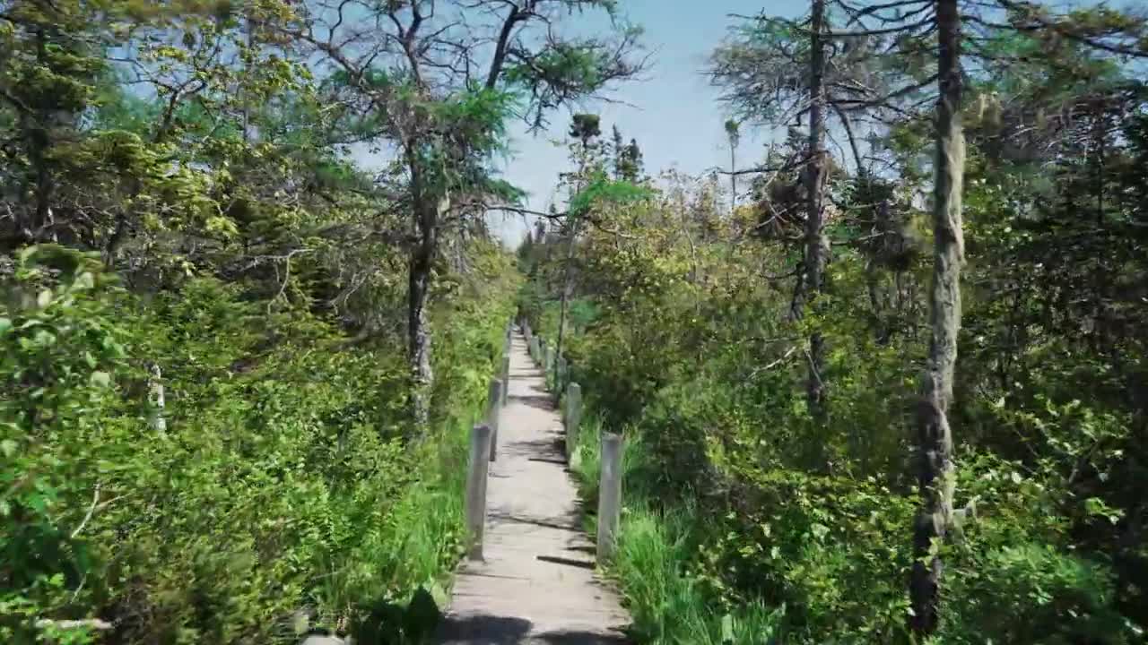 Top Natural Attractions To Visit in Nova Scotia Canada _ The Balancing Rock【4K】