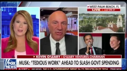 KEVIN O'LEARY Loves Elon Musk's D.O.G.E.