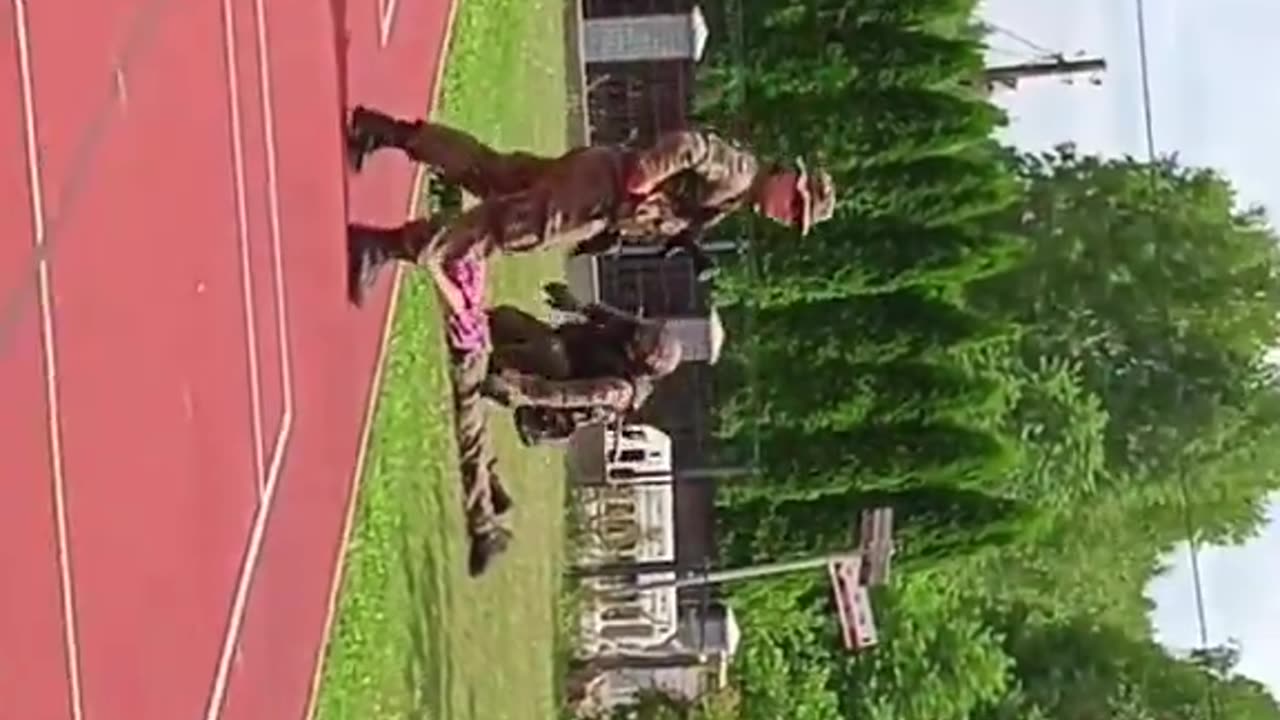 Poland Catching illegal immigrants.