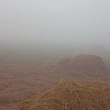 Winter morning 🌨️