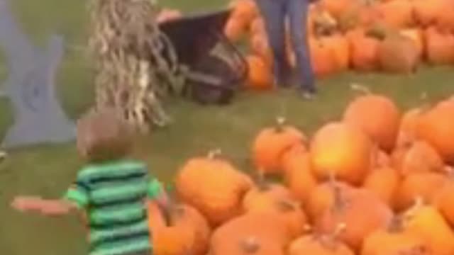 Kid Can´t Handle The Weight Of This Pumpkin