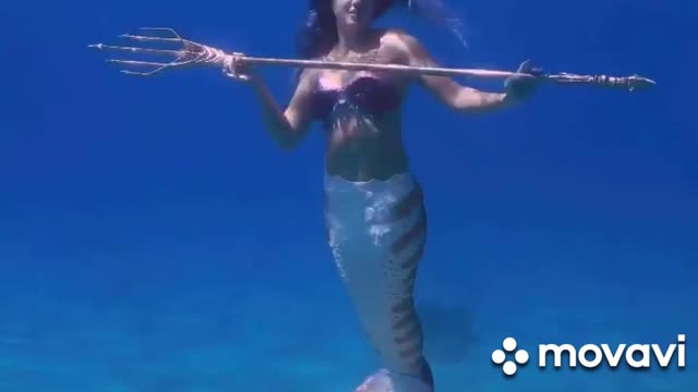 Mermaid's Song" Sleep Study Meditat