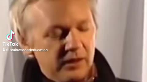 Julian assange true democracy