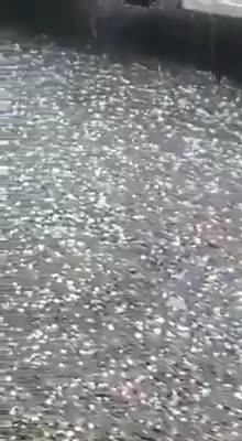 granizo en san gil martes 14 de mayo de 2019