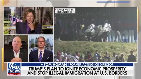 Trump's deportation plan will be a 'cost savings' for Americans Ex-ICE director