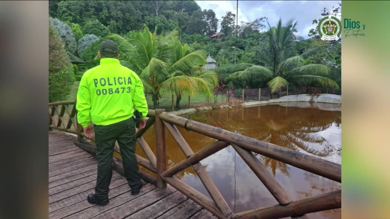 Captura de mujeres al servicio del Clan del Golfo