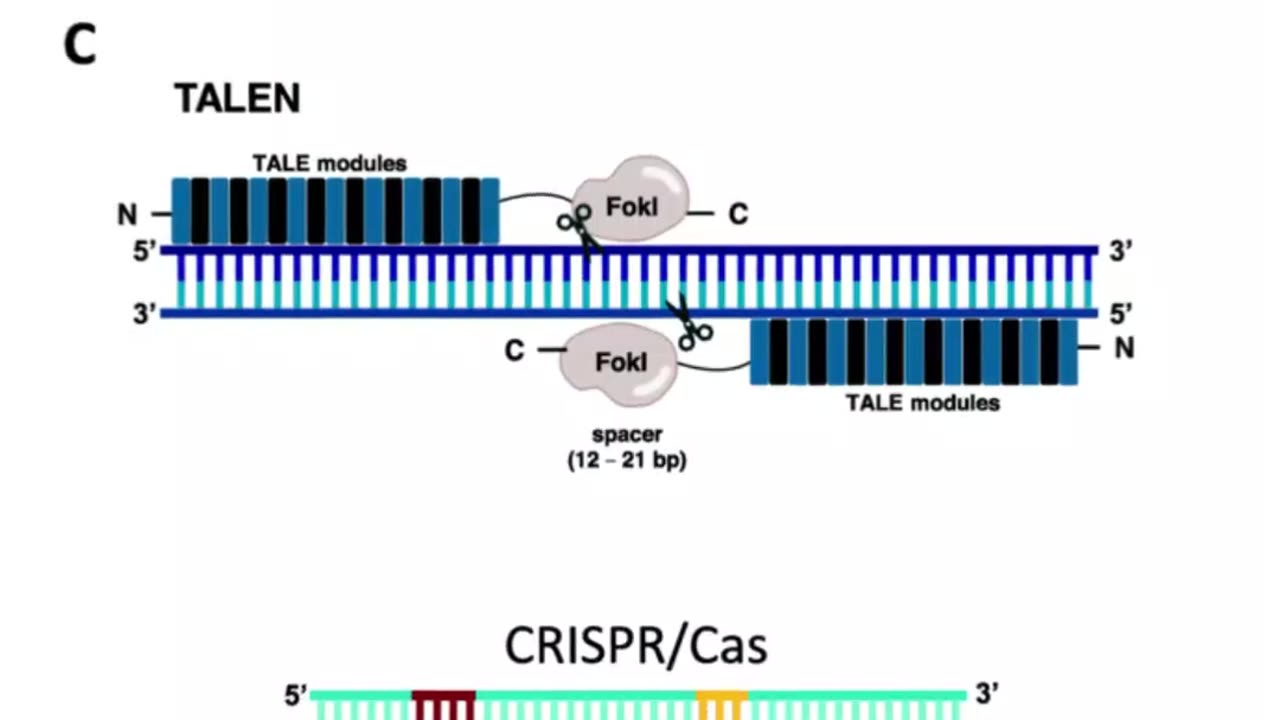 What are genome editing and CRISPR-Cas9? #shorts