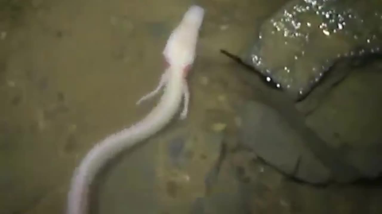Creepy Cave Stuff