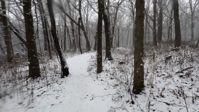 Snowy Swallow Cliffs